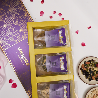 Vinayaka- Premium Dry Fruit Gift Box- 500gm